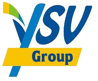 YSV Group